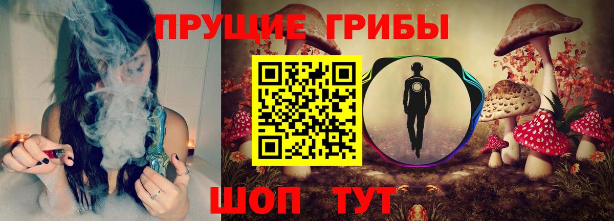 Псилоцибиновые грибы GOLDEN TEACHER  Вход с VPN  Копейск  Галлюциногенные грибы мухоморы 